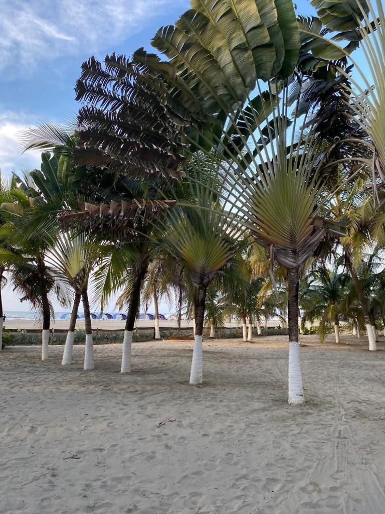 Con Salida Privada A La Playa En Morros, *